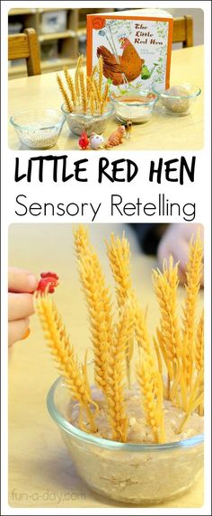 a little red hen is sitting in a bowl with some rice and other items on the table