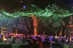 the tables are set for an event with green and purple lights in the trees above them