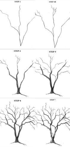 four different types of trees with no leaves