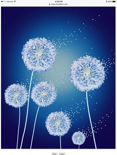 some dandelions are blowing in the wind on a dark blue background with bubbles