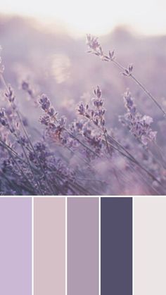 the color palette is lavender and it looks great