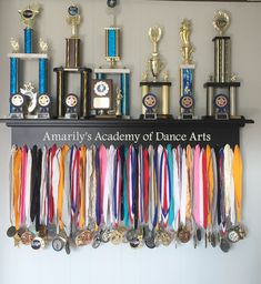 trophies and medals are displayed on a wall above the trophy rack that reads,'amanily's academy of dance arts