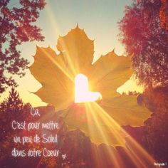 the words hello october are in front of an image of a leaf with the sun shining through it