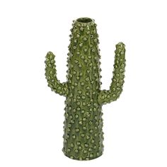 a large green cactus plant sitting on top of a white table