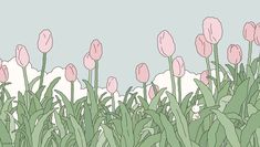 pink tulips are growing in the grass on a blue sky background with clouds