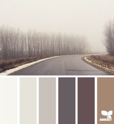 a road with trees in the background and fog on the ground, along with several color swatches