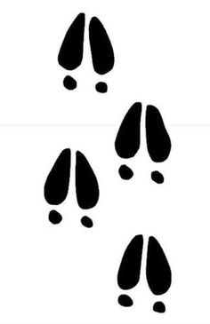 four footprints are shown in the shape of an animal's paw print on a white background