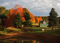 a green house surrounded by trees with fall foliage