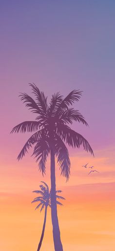 two palm trees are silhouetted against an orange and purple sky