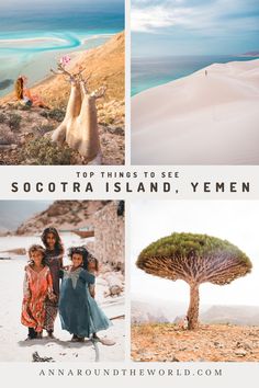 the top things to see in socotra island, yem'nn