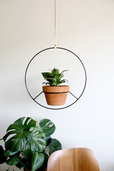 a potted plant is hanging from a circular metal frame on the wall next to a green plant