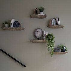 three wooden shelves with plants, books and other items on them against a white wall