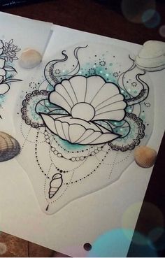 some sea shells and seashells on white paper