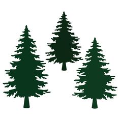 three pine trees are shown in silhouette against a white background, with one green tree on the left side