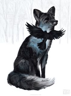 a black and white drawing of a fox sitting in the snow with its wings spread