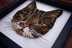 a close up of a cat's face in a frame on a wooden table