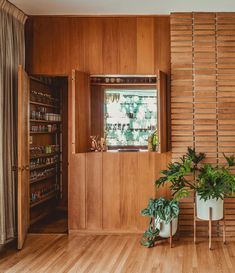 two potted plants sit in front of a wooden paneled wall with shelves on both sides