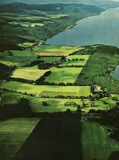 an aerial view of green fields and water