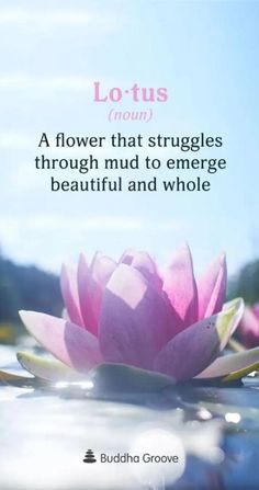 a pink flower floating on top of water next to a quote about lotuss that struggle through mud to energe beautiful and whole life