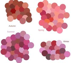 Blush For Winter, Zyla Romantic Color, David Zyla Spring, David Zyla Color Palettes, Winter Skin Tone, Light Summer Color Palette, Complexion Colors, Deep Winter Palette