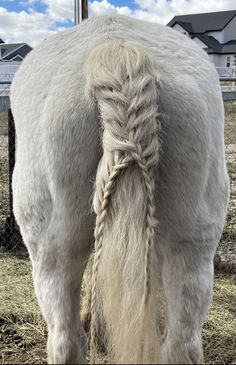 the back end of a white horse with braids on it's ears and tail