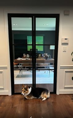 a dog laying on the floor in front of an open glass door that leads to a living room