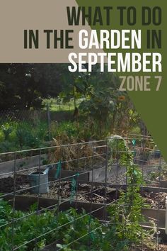 an image of a garden with the words what to do in the garden in september zone 7