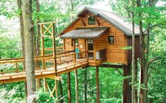 a tree house in the middle of some trees