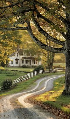 a country road leading to a white house