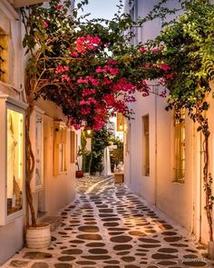 an alley way with potted plants and flowers on either side, between two buildings