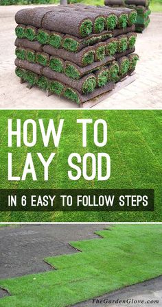 how to lay sod in 6 easy steps with grass growing on it and the text overlay reads, how to lay sod in 6 easy to follow steps