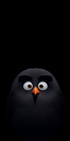 a black bird with big eyes and an angry look on it's face in the dark