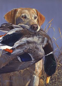 a painting of a dog holding a duck