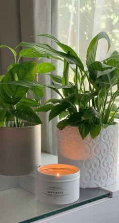 two potted plants sit on a shelf next to a candle and window sill