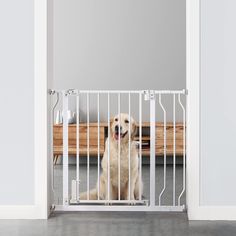 a dog sitting in front of a white gate