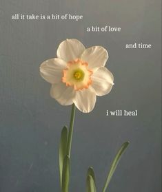 a white flower with an orange center and some words below it that read, all it takes a bit of hope