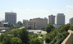 a city with tall buildings and lots of trees in the foreground on a sunny day