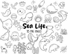 sea life hand drawn doodles with different types of animals, fish and marine creatures