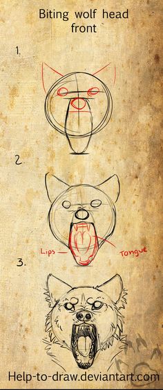 an old book with drawings on it and instructions for how to draw a bear's head