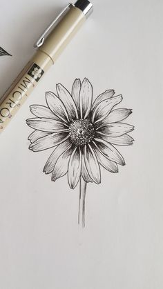 a drawing of a flower on paper next to a pen and ink roller with the image of a daisy in it