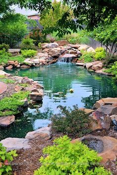 a small pond surrounded by rocks and plants