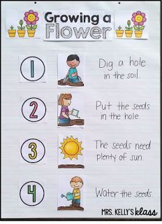 a poster with flowers and numbers to help students learn how to grow the flower in the soil