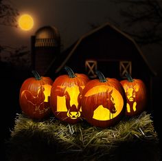 four pumpkins with horses carved into them