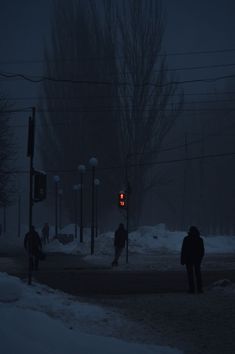 some people are walking in the snow at night