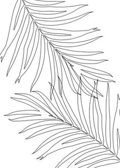 a black and white drawing of a palm leaf