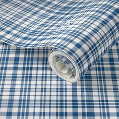 a blue and white checkered shirting fabric