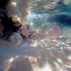 an underwater scene with bubbles and seashells