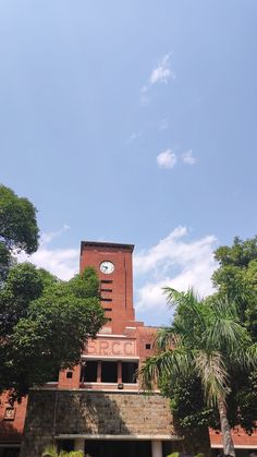 a tall brick building with a clock on it's face and palm trees in the foreground