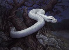 a painting of a white snake on a tree branch in the woods at night time