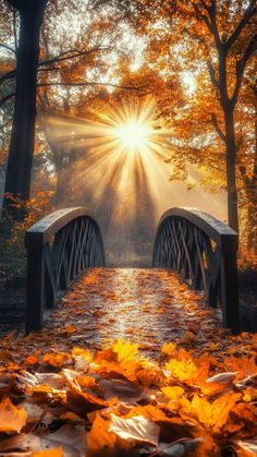 the sun shines through the trees over a bridge with leaves on the ground in front of it